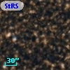 StRS 169