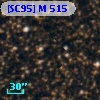 [SC95] M 515