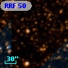 RRF   50