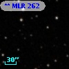 ** MLR   262