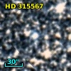 HD 315567