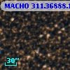 MACHO 311.36888.1587