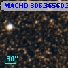 MACHO 306.36560.3266