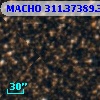 MACHO 311.37389.3983