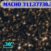 MACHO 311.37730.3783