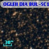 OGLEII DIA BUL-SC10   1082