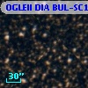 OGLEII DIA BUL-SC11     61
