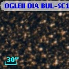 OGLEII DIA BUL-SC12    223