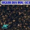 OGLEII DIA BUL-SC12   1138
