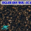 OGLEII DIA BUL-SC12   1294