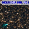OGLEII DIA BUL-SC12   2894