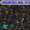 OGLEII DIA BUL-SC12   3219