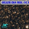 OGLEII DIA BUL-SC13    349