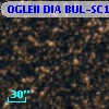 OGLEII DIA BUL-SC13   1667