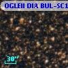 OGLEII DIA BUL-SC13   1769