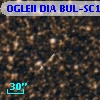 OGLEII DIA BUL-SC13   2010