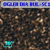 OGLEII DIA BUL-SC13   2023