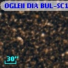 OGLEII DIA BUL-SC13   2077