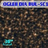 OGLEII DIA BUL-SC13   2519