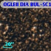 OGLEII DIA BUL-SC13   2579