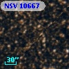 NSV 10667