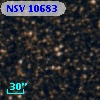 NSV 10683