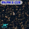 PN PM  1-229