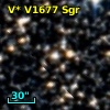 V* V1677 Sgr