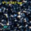 V* V1667 Sgr