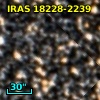 IRAS 18228-2239