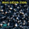 IRAS 18229-2509