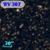 WV 307