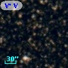 V* V3837 Sgr