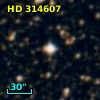 HD 314607