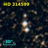 HD 314599