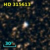HD 315613
