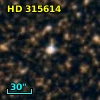 HD 315614