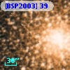 [BSP2003] 39