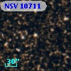 NSV 10711