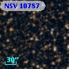 NSV 10787