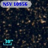 NSV 10856