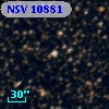 NSV 10881