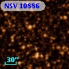 NSV 10886