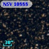 NSV 10888
