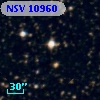 NSV 10960