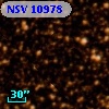 NSV 10978