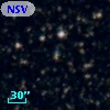 NSV 11009