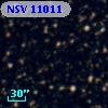 NSV 11011