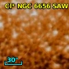 Cl* NGC 6656    SAW V4