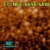 Cl* NGC 6656    SAW V10